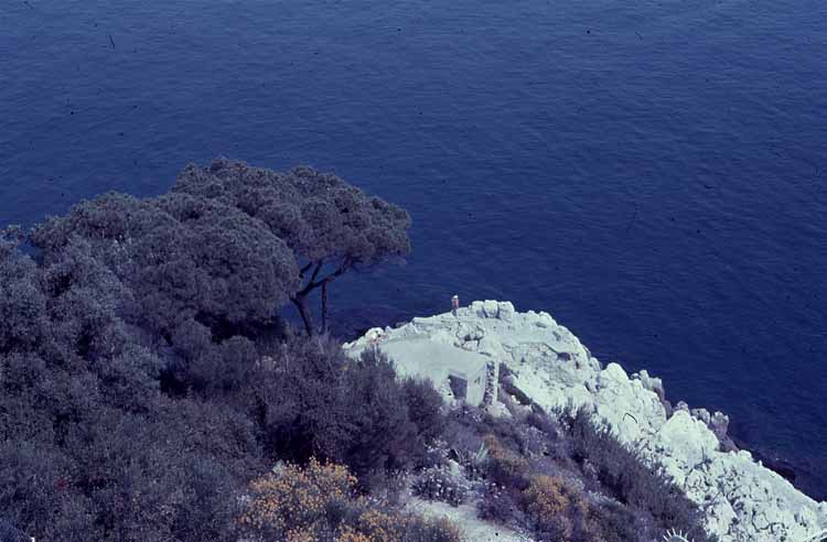 coastal scene
